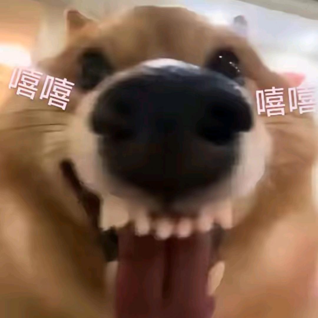 ycc