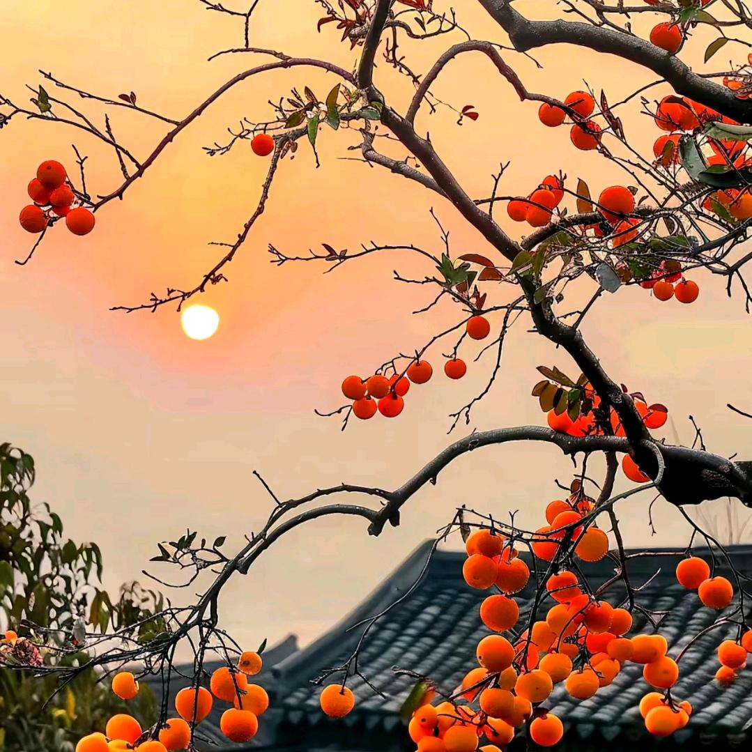 咔呲咔呲´͈ ᵕ `͈