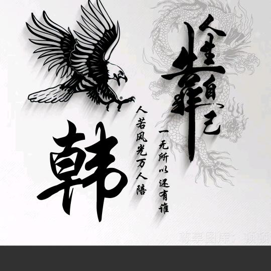 韩飞