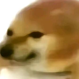 木川头像