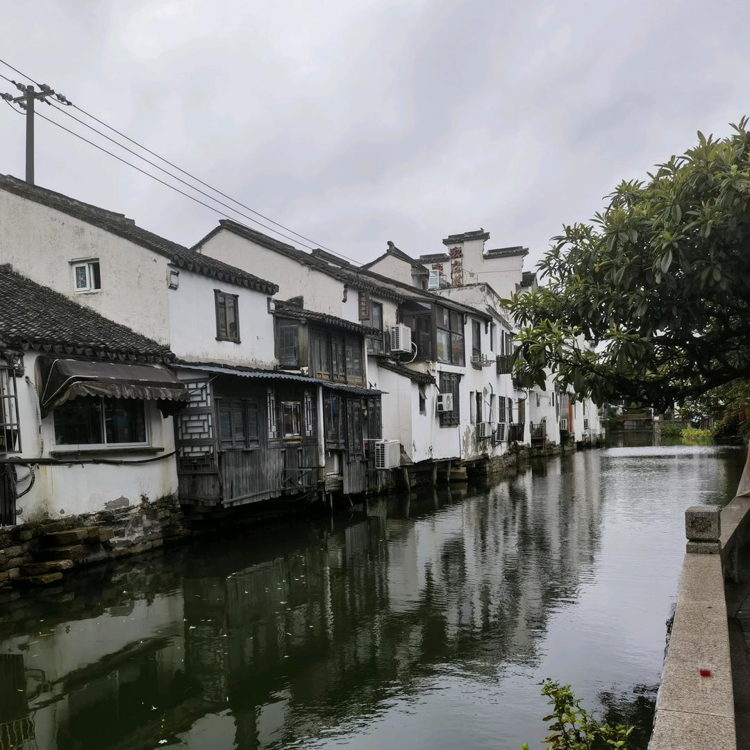 我是小小智慧树