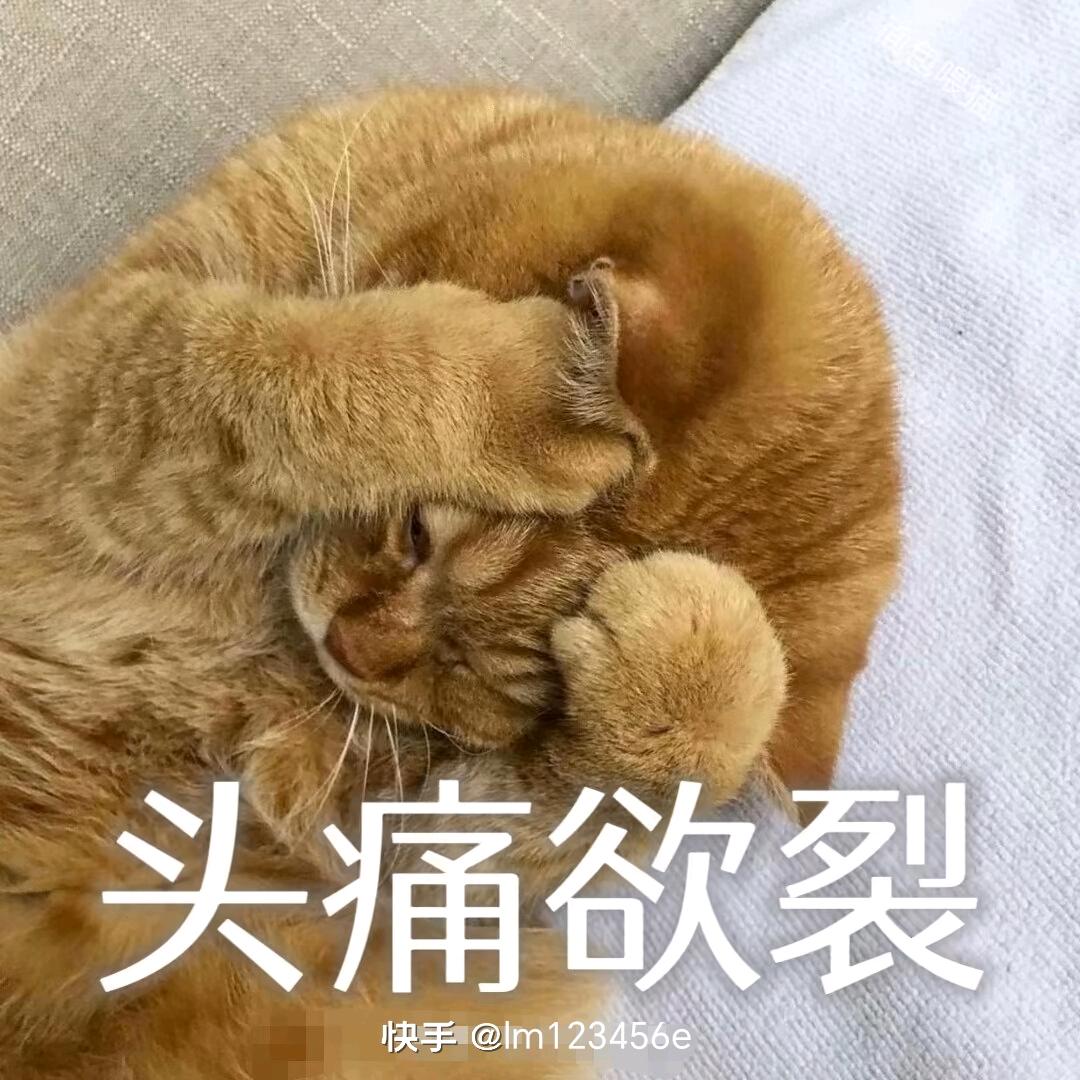 青🌿A