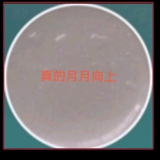 真的月月向上