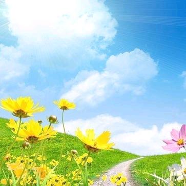 何处无芳草：