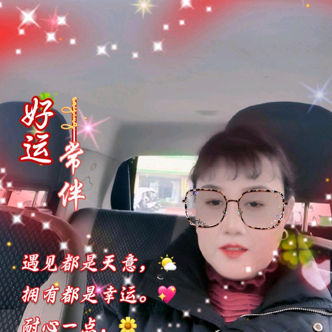 向南花开