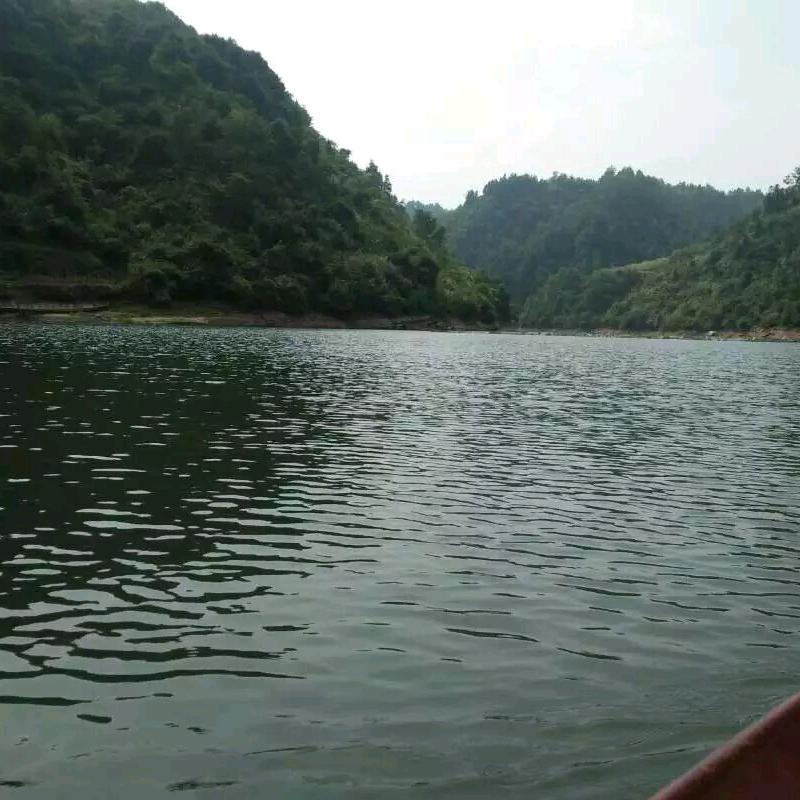 🌾浮萍🌻