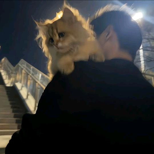 酸奶不酸