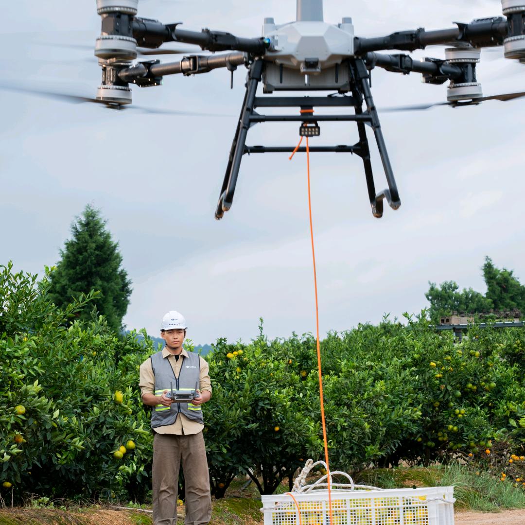 豫北低空吊运团队（亮仔）