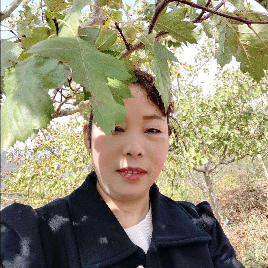 走自己的路，把自己的日子过好。