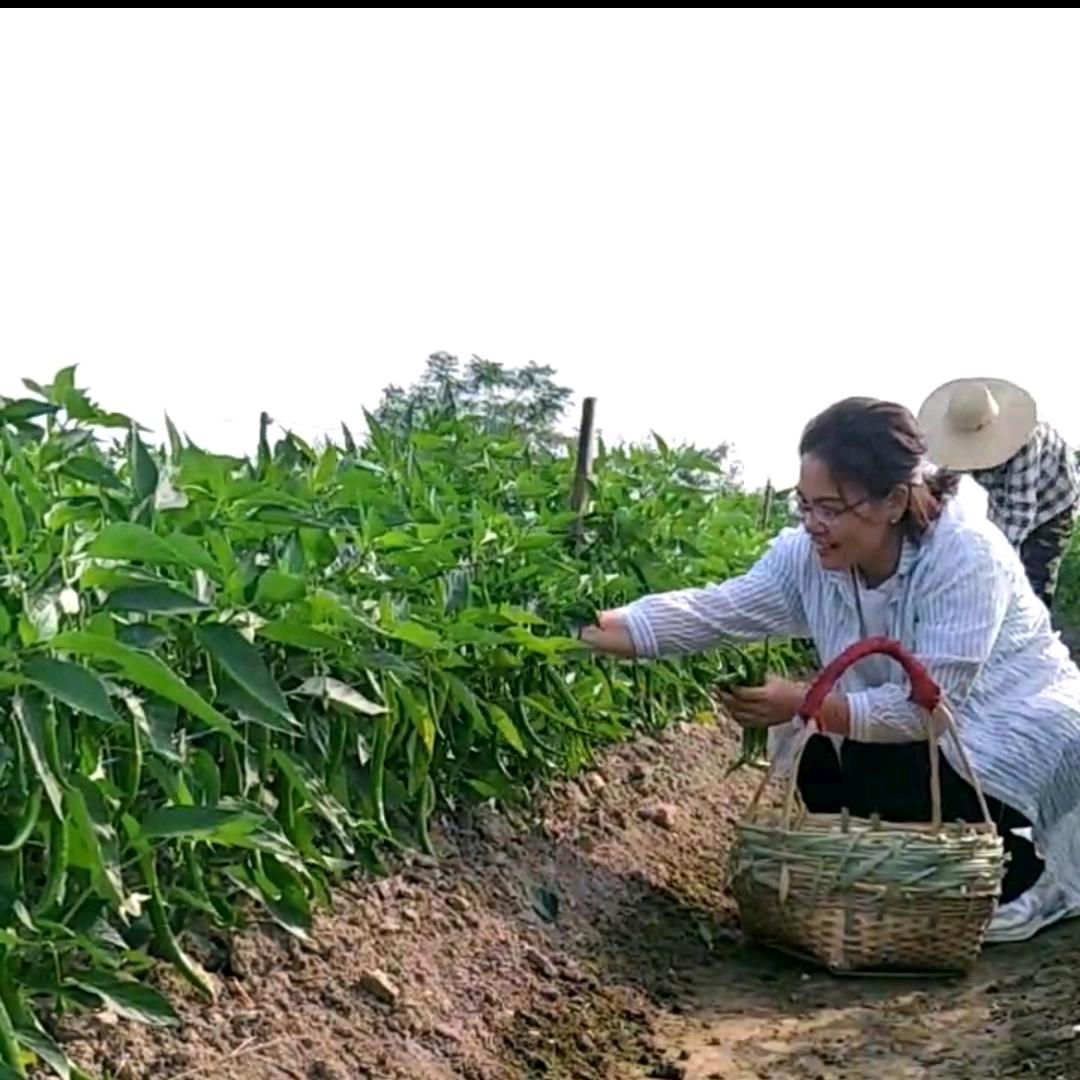 🏠快乐老家🎬