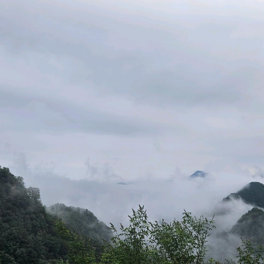 你猜我叫什么