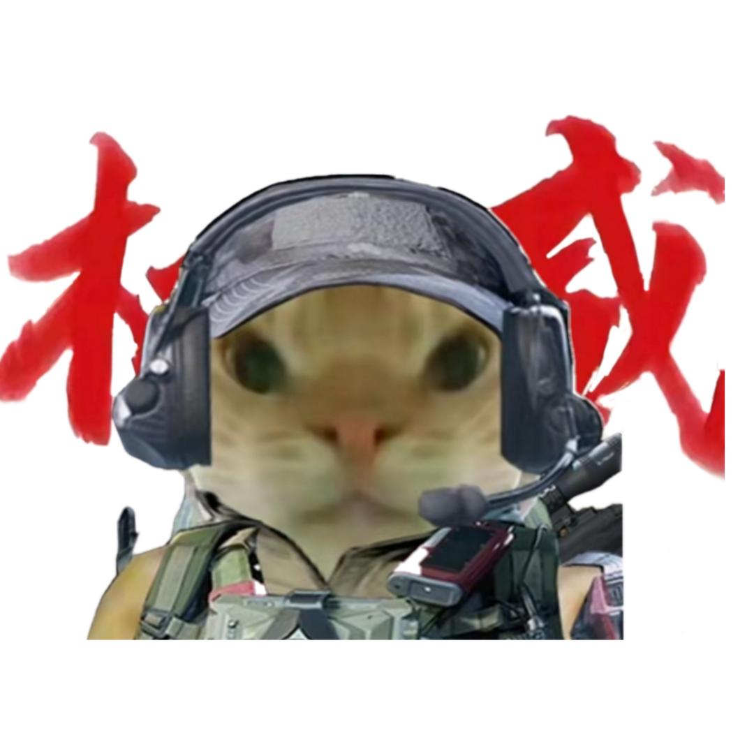 陈提莫（接跑刀，纯绿）