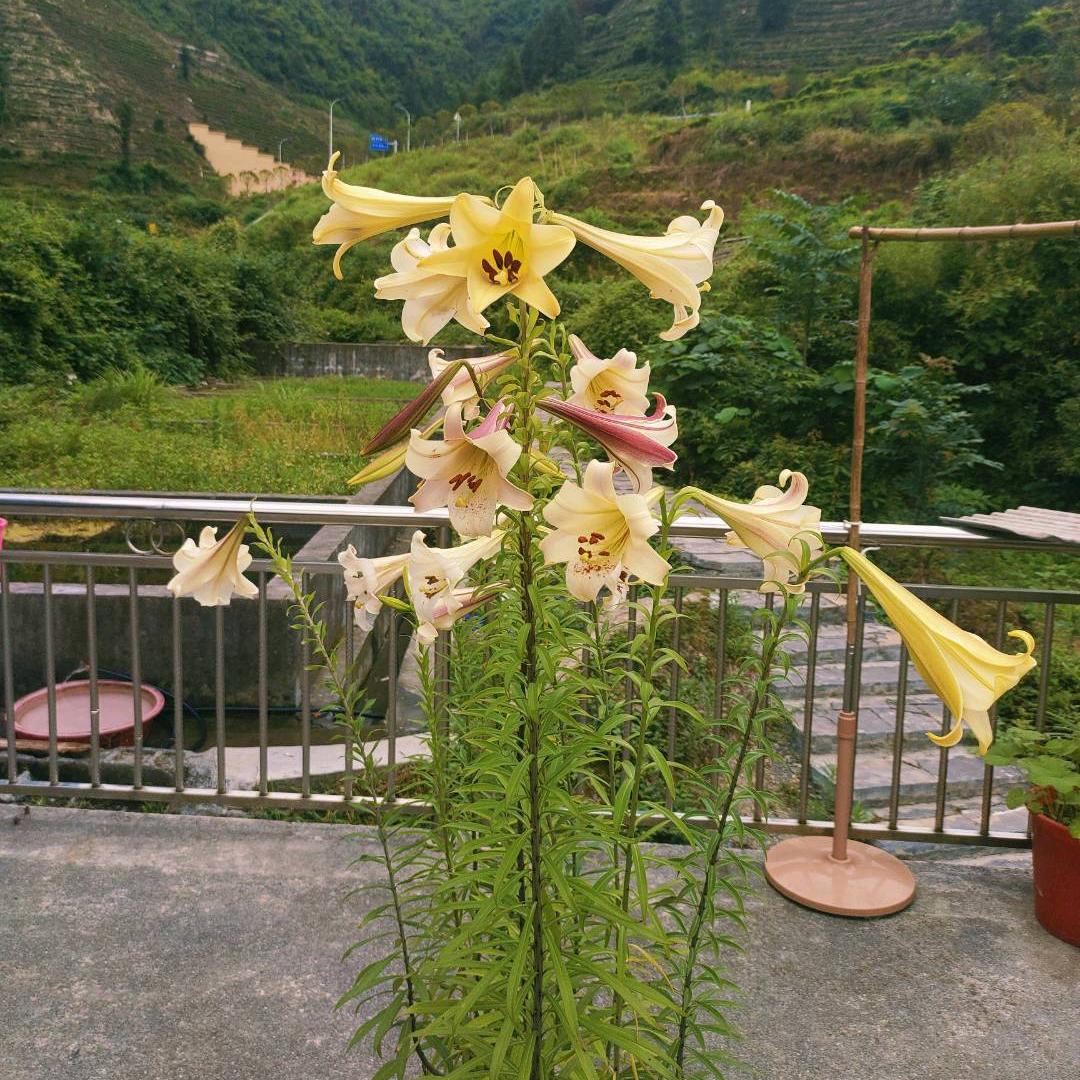 输在认真人生靠自己