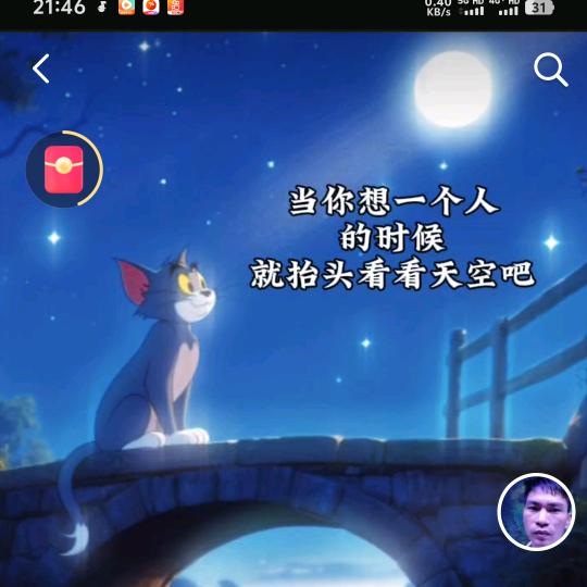 腊肉下的猫