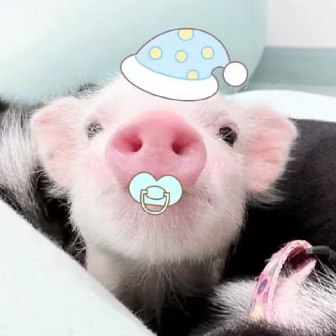 呀咪