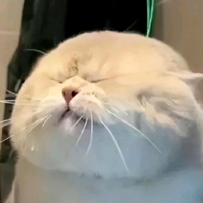 渠