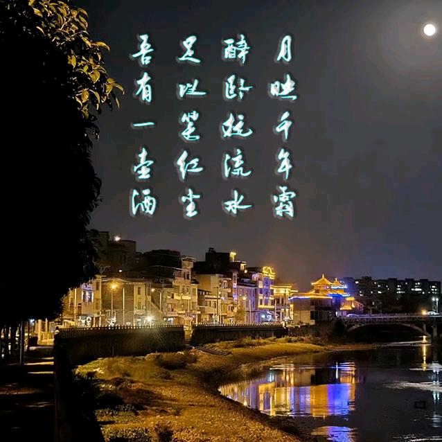 何时君再来