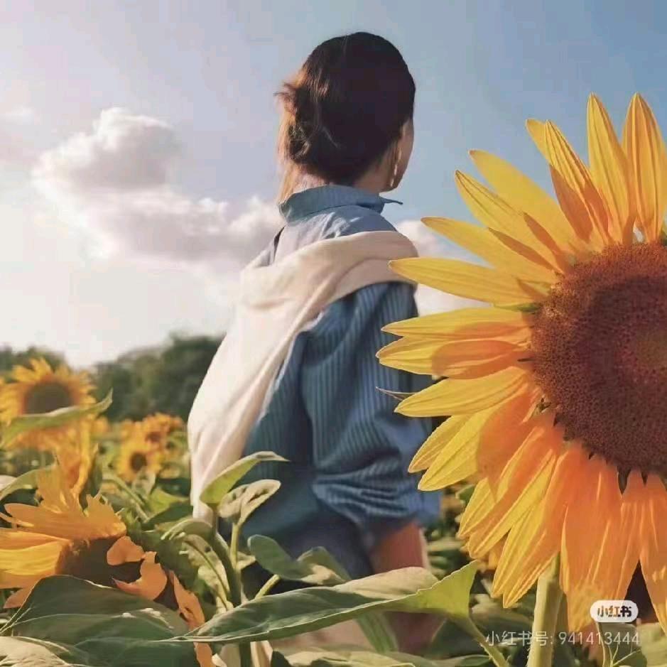 碥碥🩷喜欢🩵你