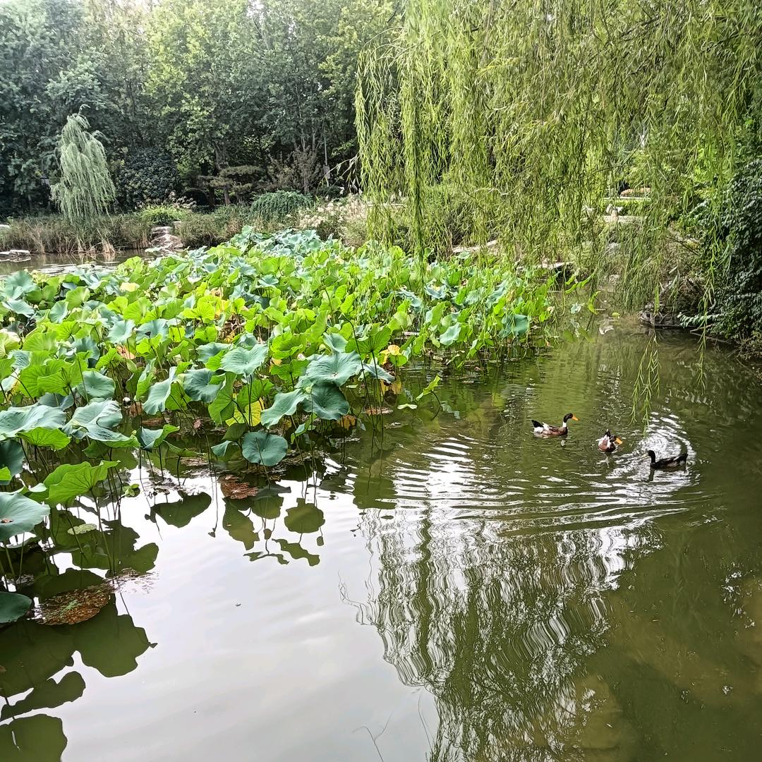 ꧔ꦿ᭄ 等待꧔ꦿ᭄ঞ