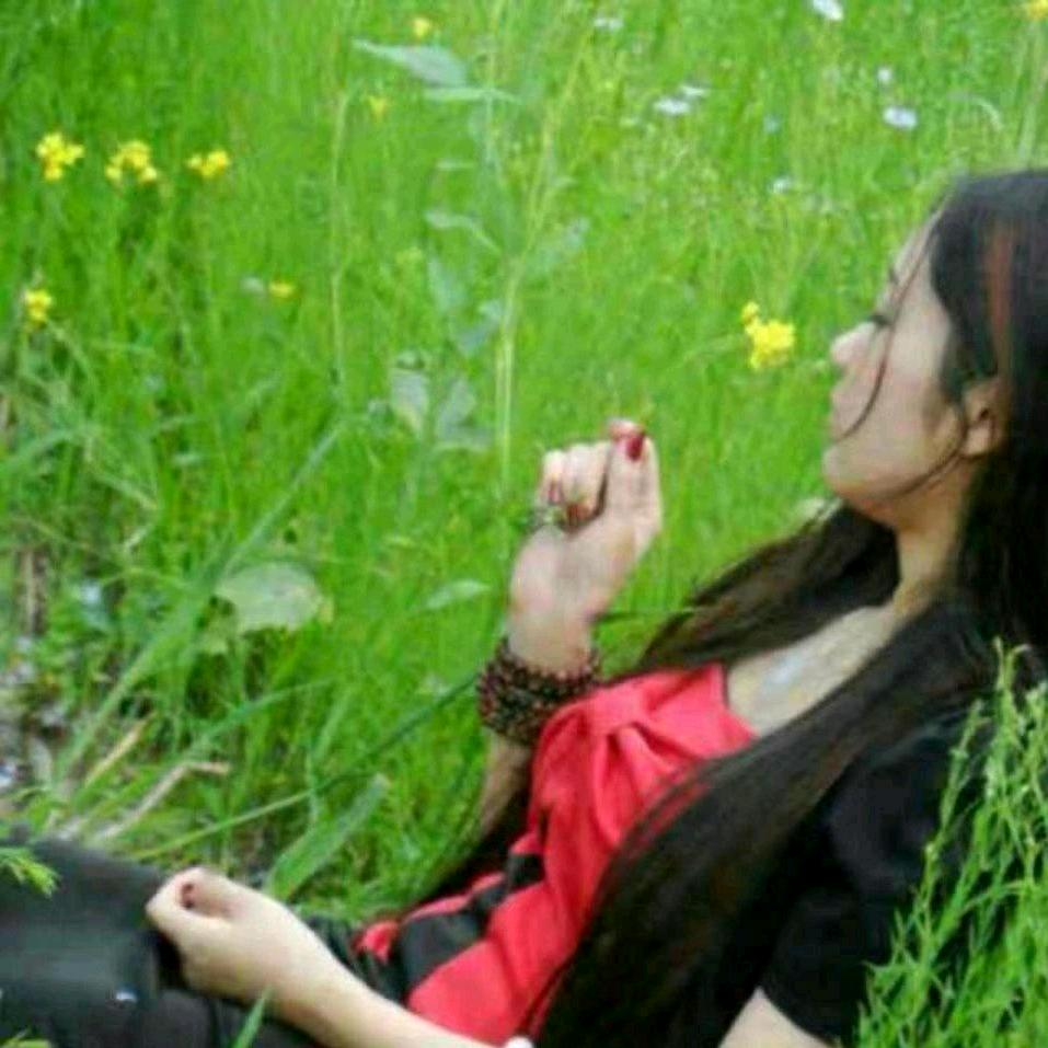 梦中的蝴蝶