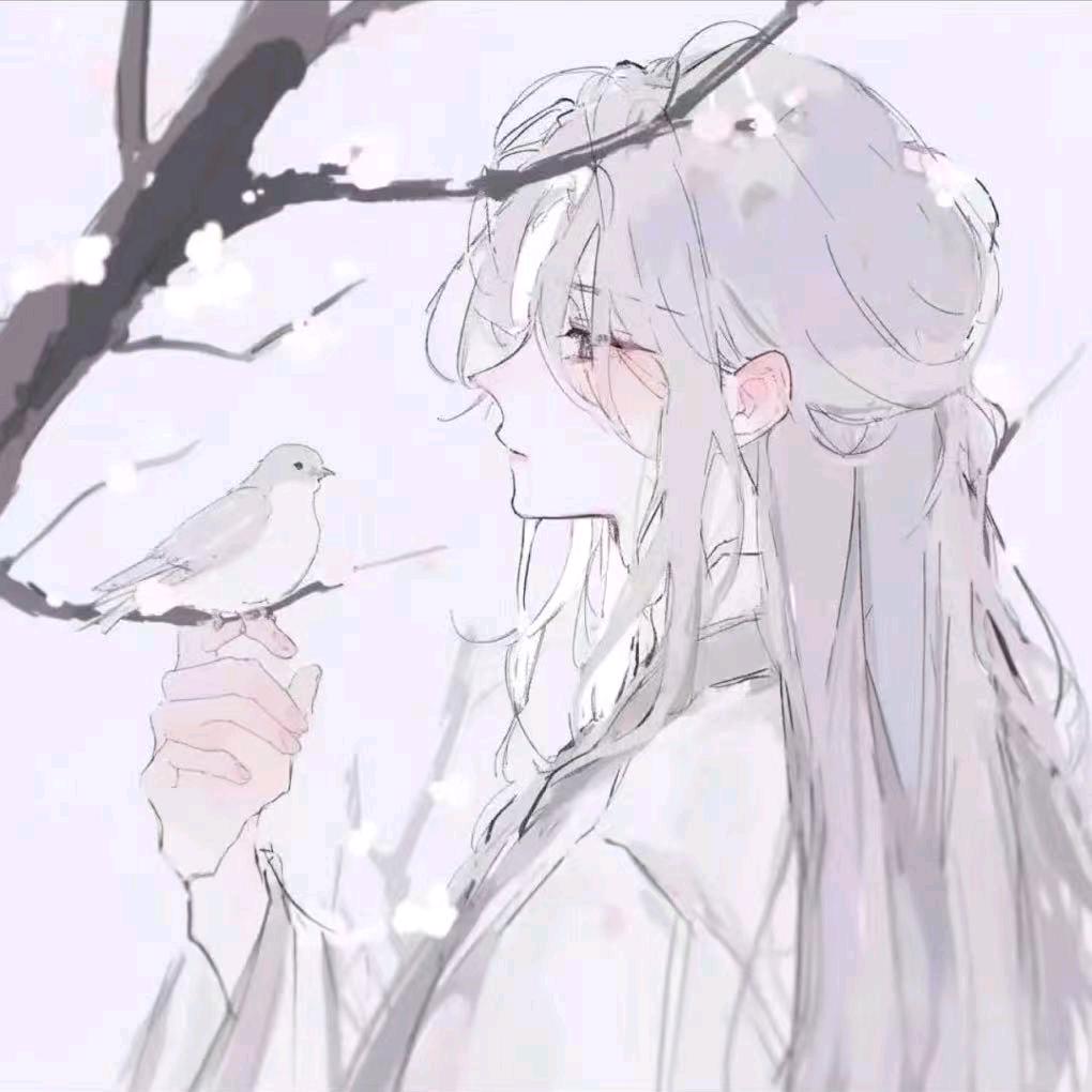 泠桉🍊