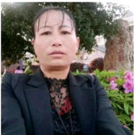 诸事顺利