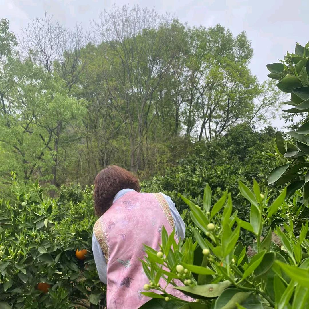 粗茶淡饭