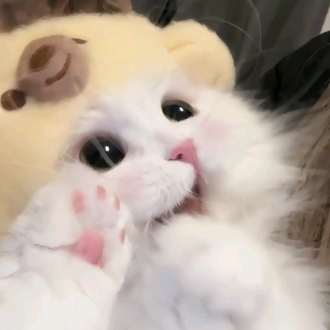 小雨bb.