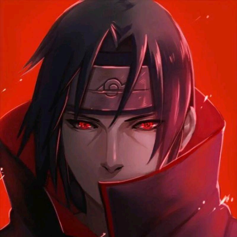 自由的风