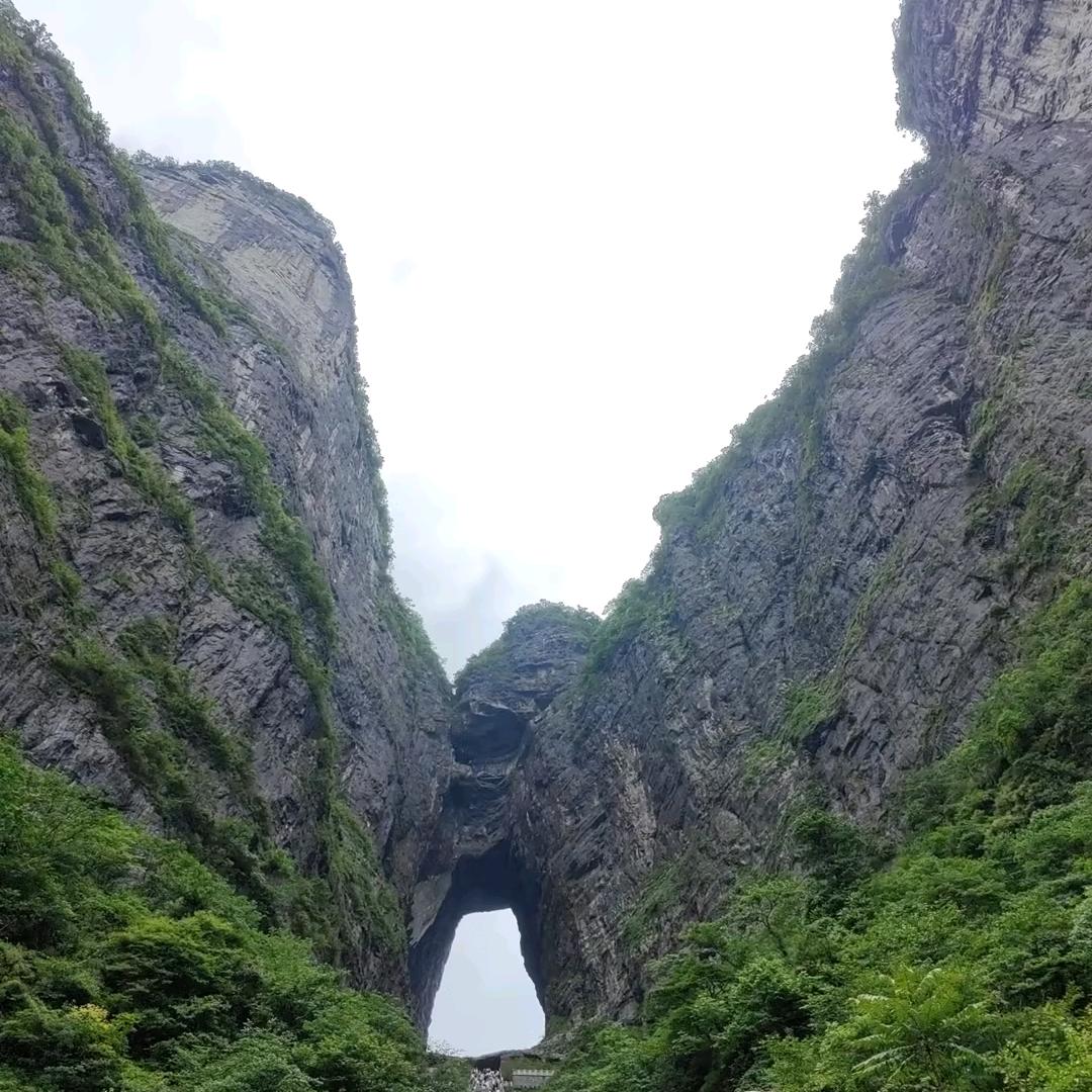喵喵严选尾货