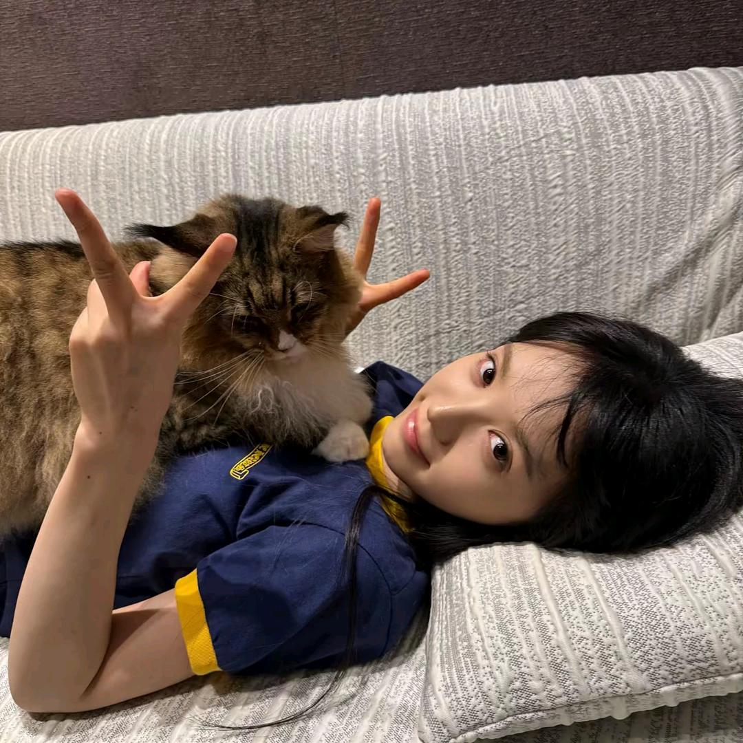 ㅤㅤㅤㅤㅤㅤ       ㅤㅤㅤ