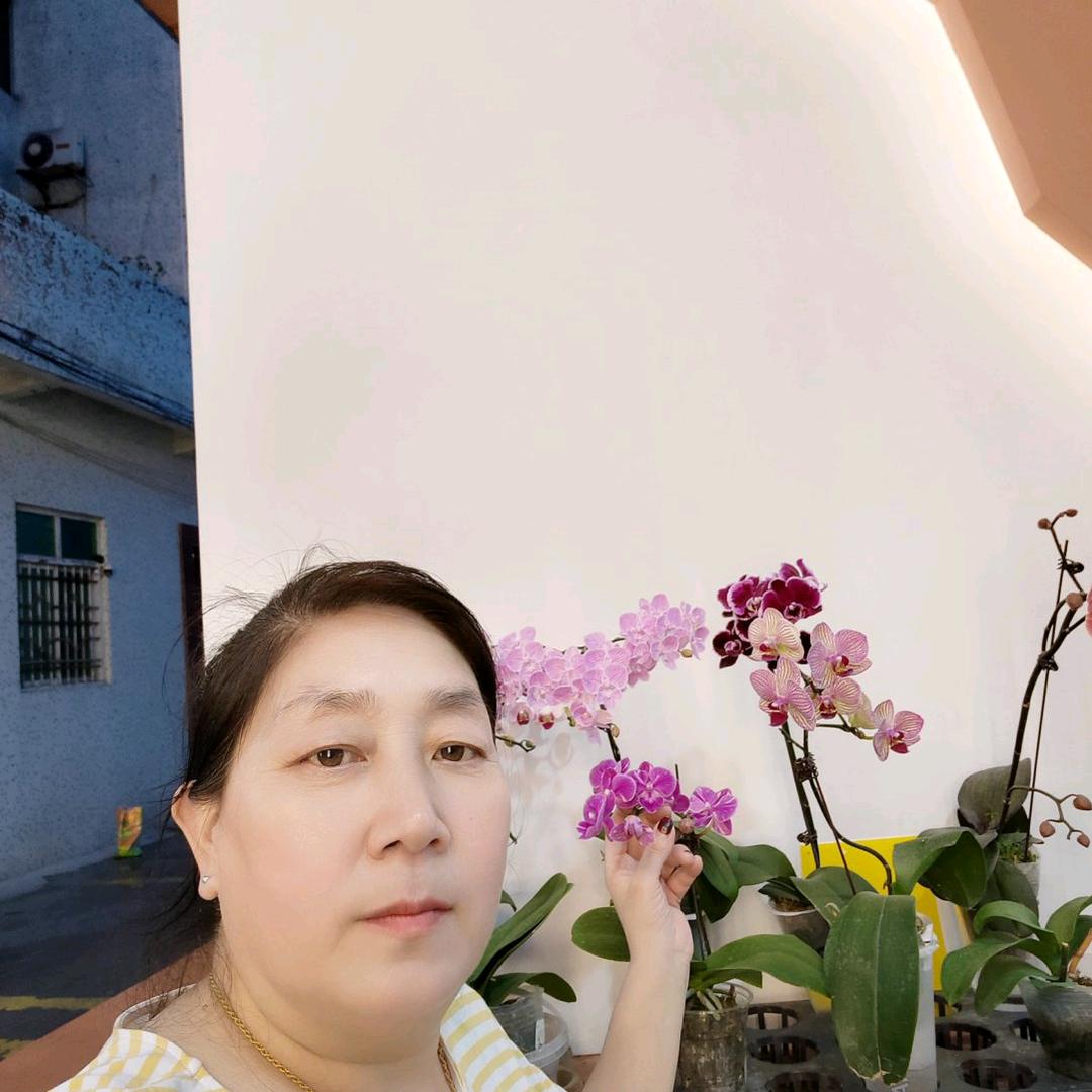 用户9959252025357