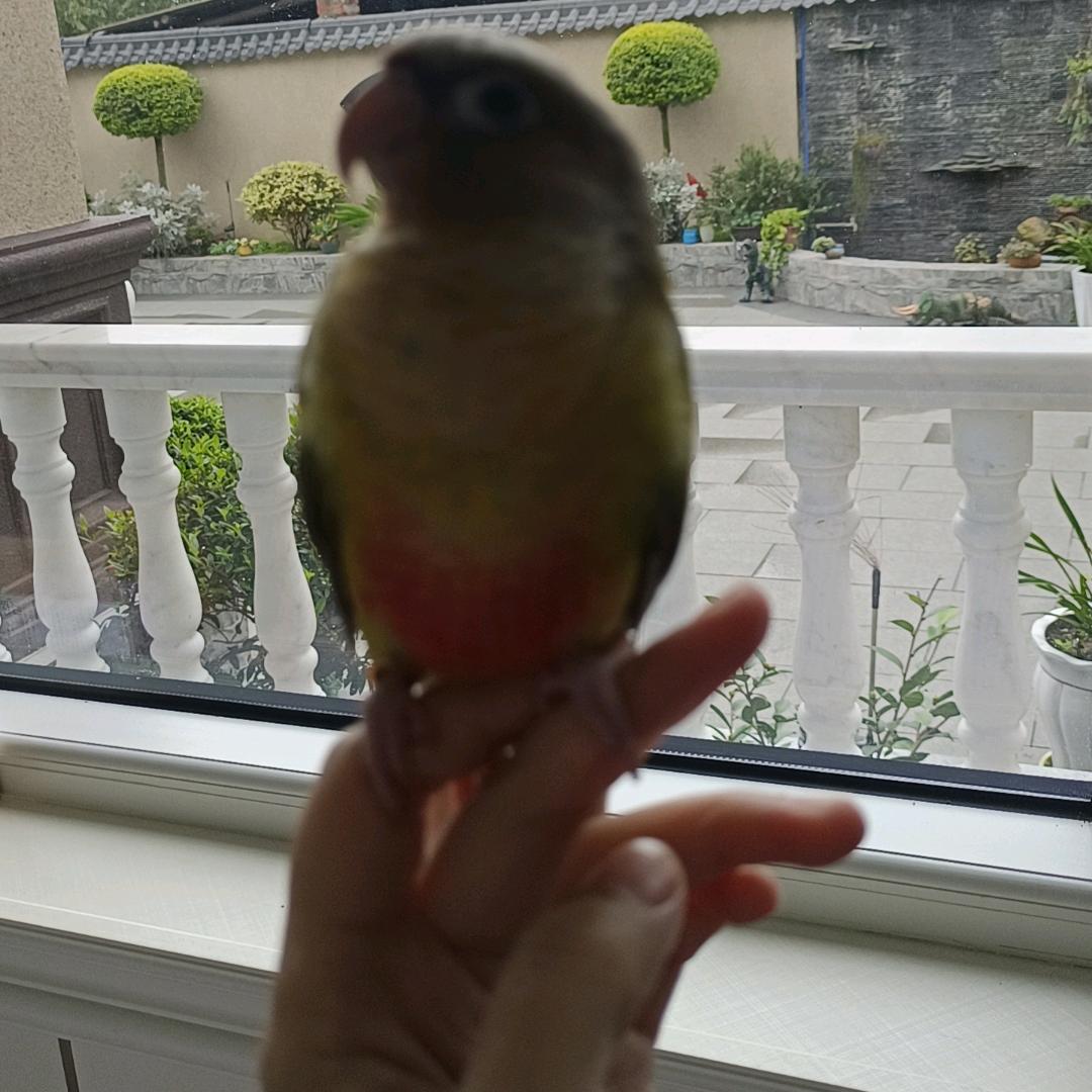 往后余生~宝宝与我