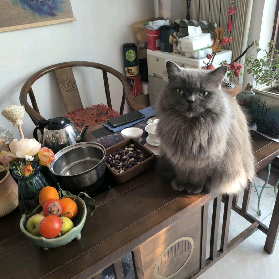 萧某