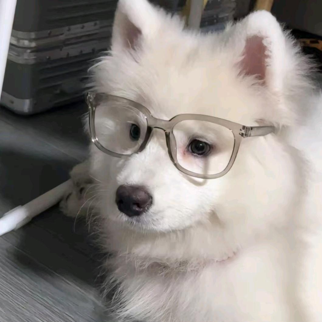 汛（三角洲行动）