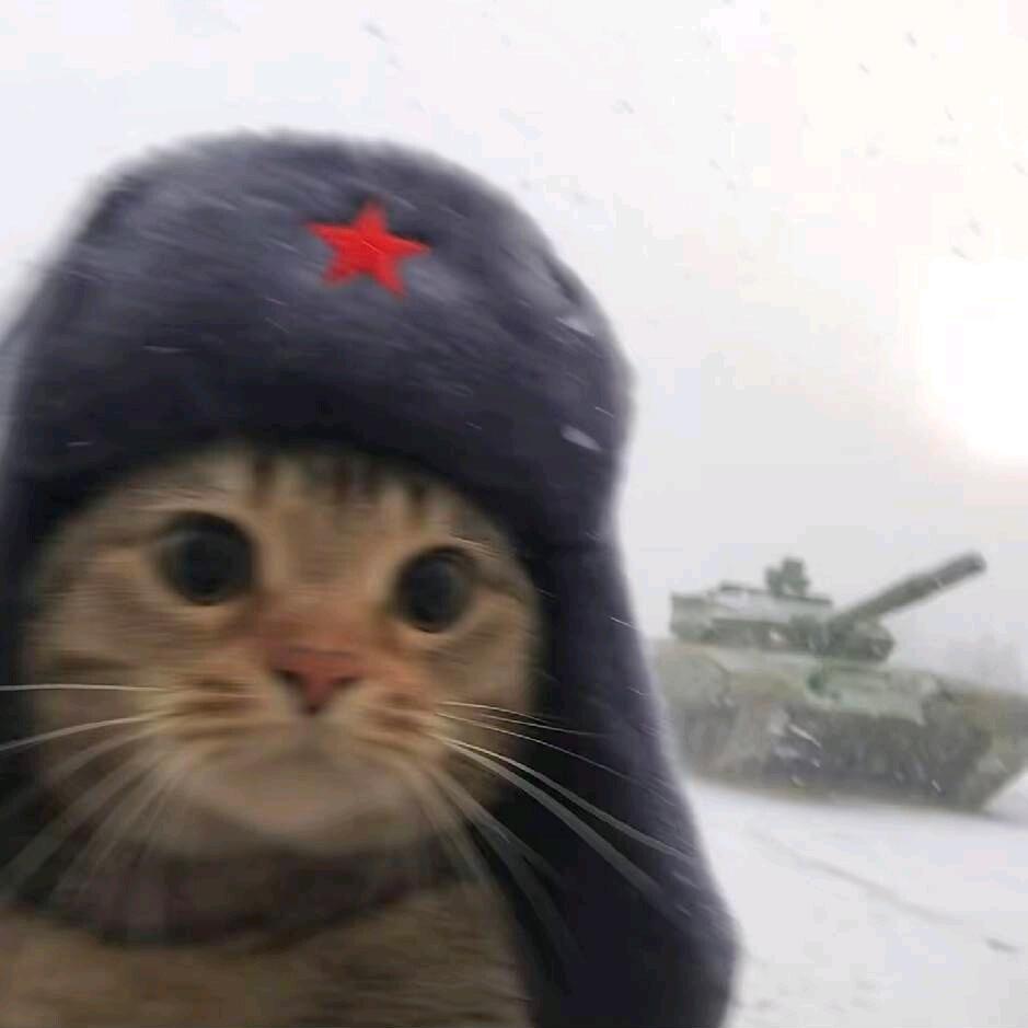 憨色的中二病药