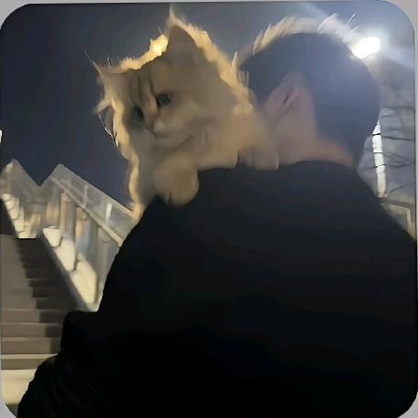 ꫛꪑོꫀꫀȶ