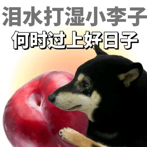 达尔文