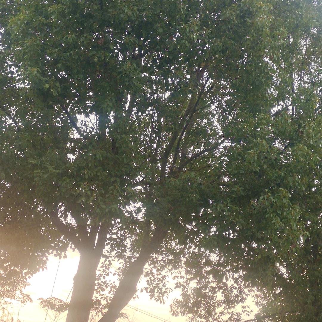 顺风顺水A