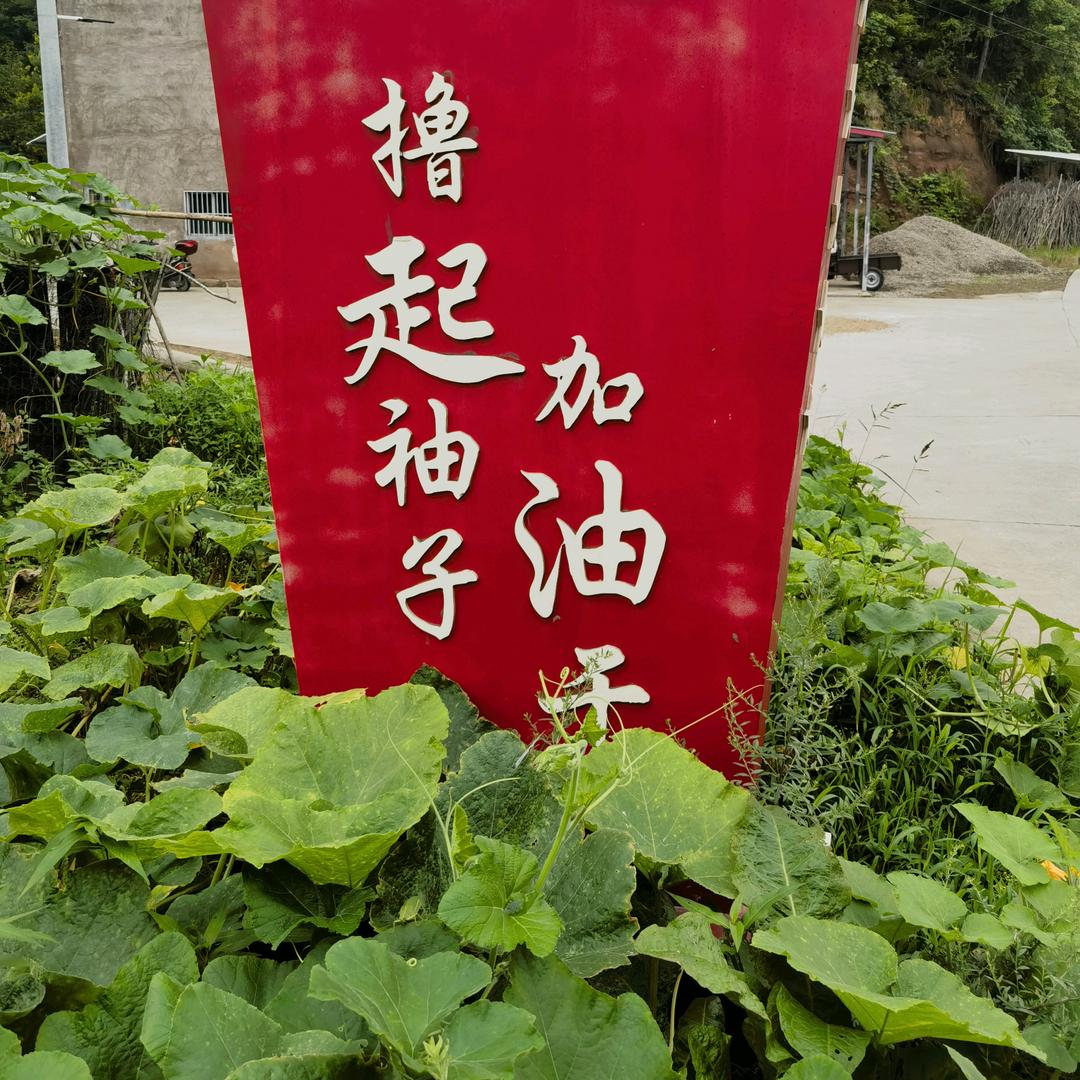 淘金者
