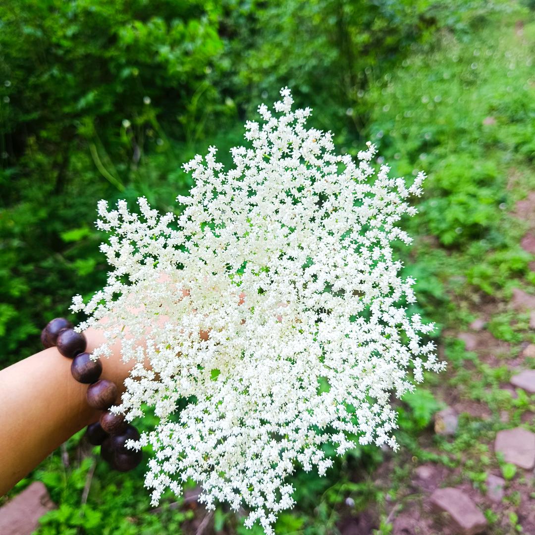 开居居车的小王