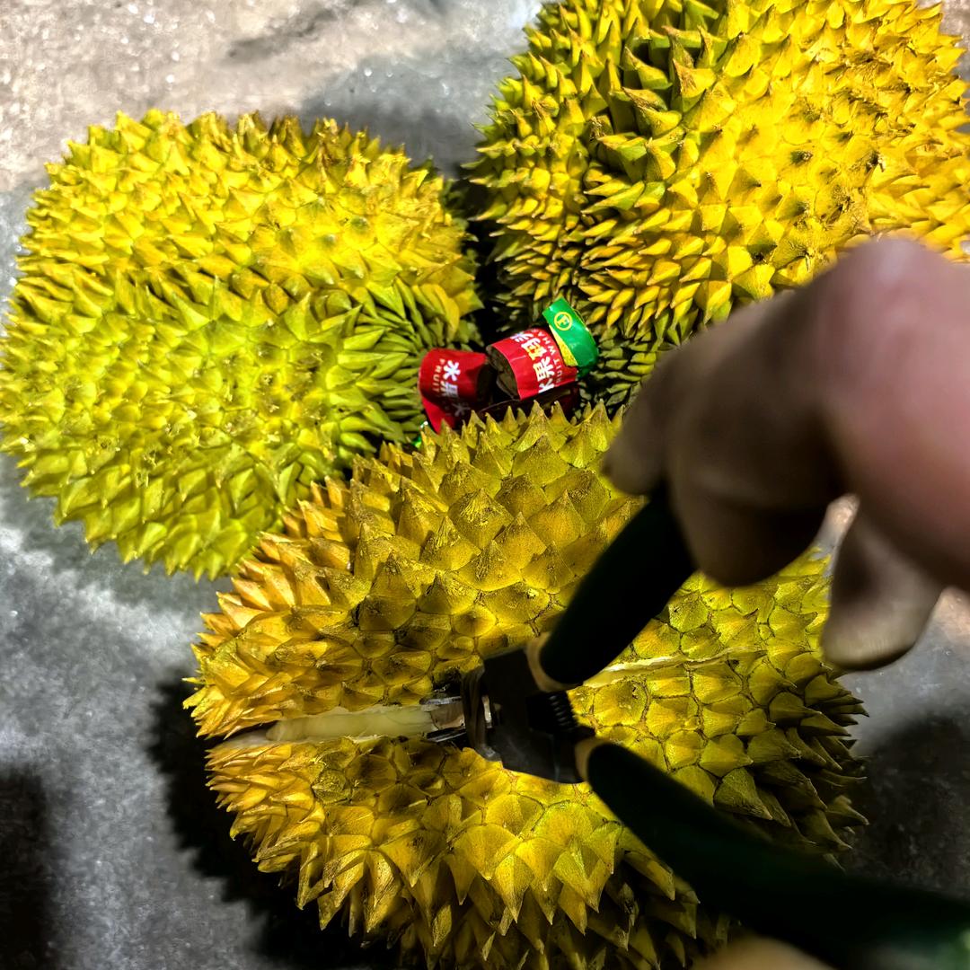 林子鲜🍒🍒