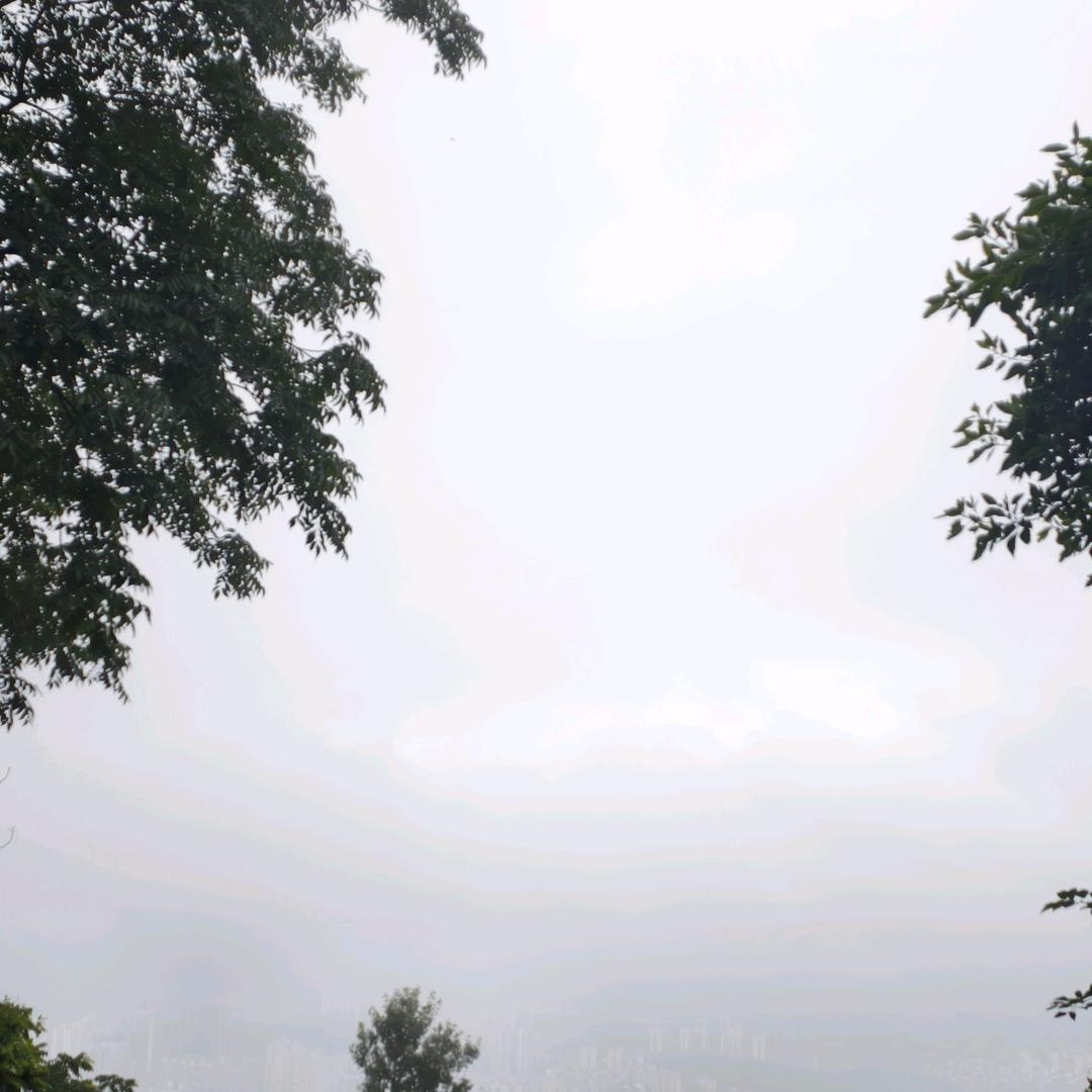 二亩农地