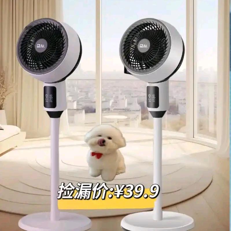 扬子循环扇厂家