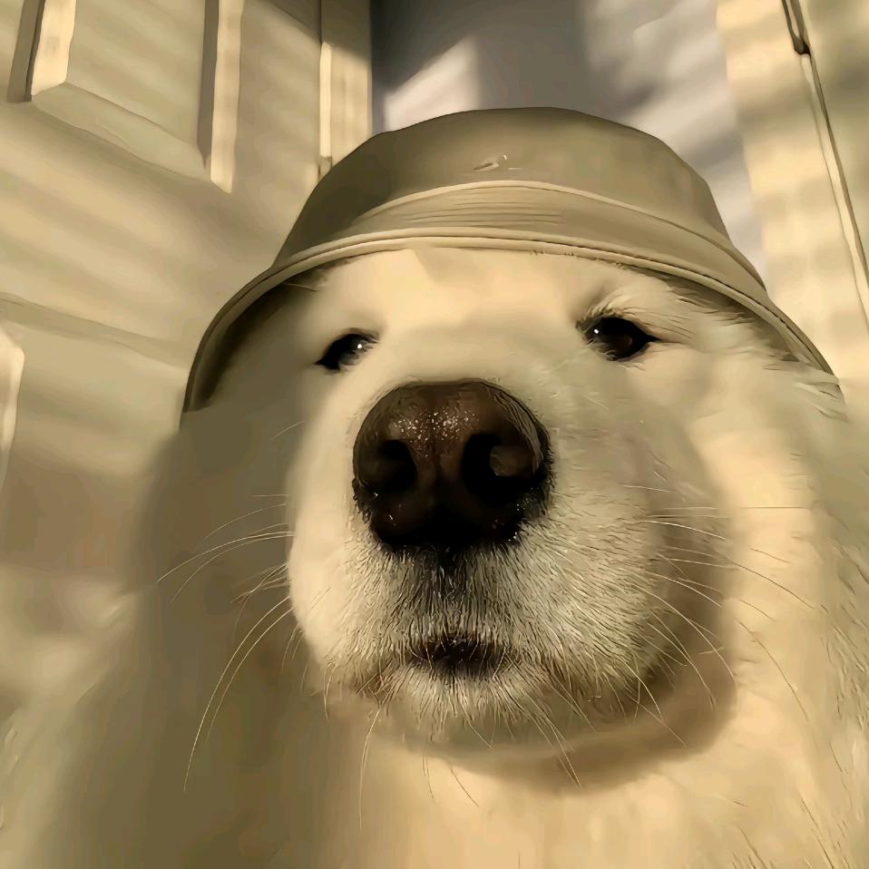 银烛秋光冷画屏🪸