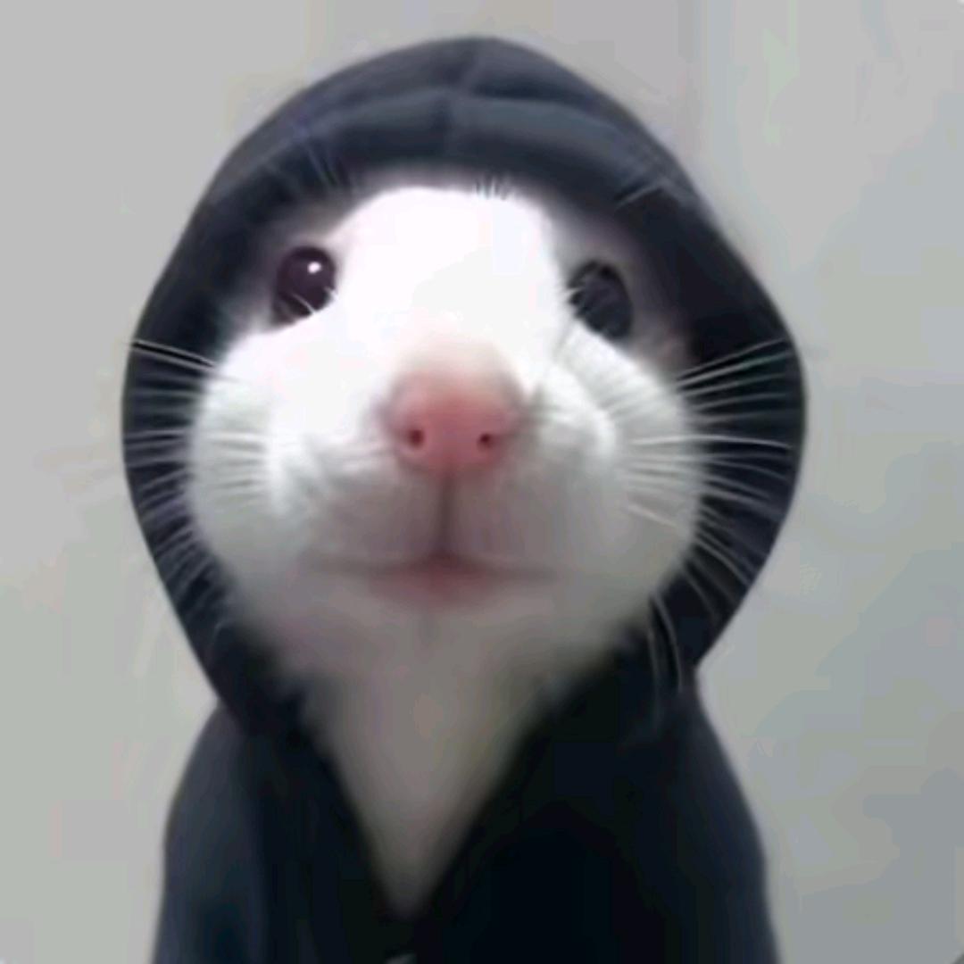 差点成为帅哥🎣