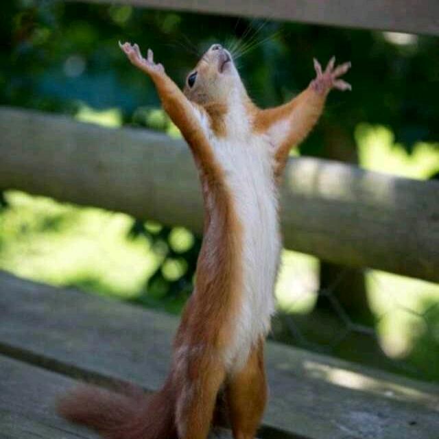 🇨🇳今夕何夕🇨🇳