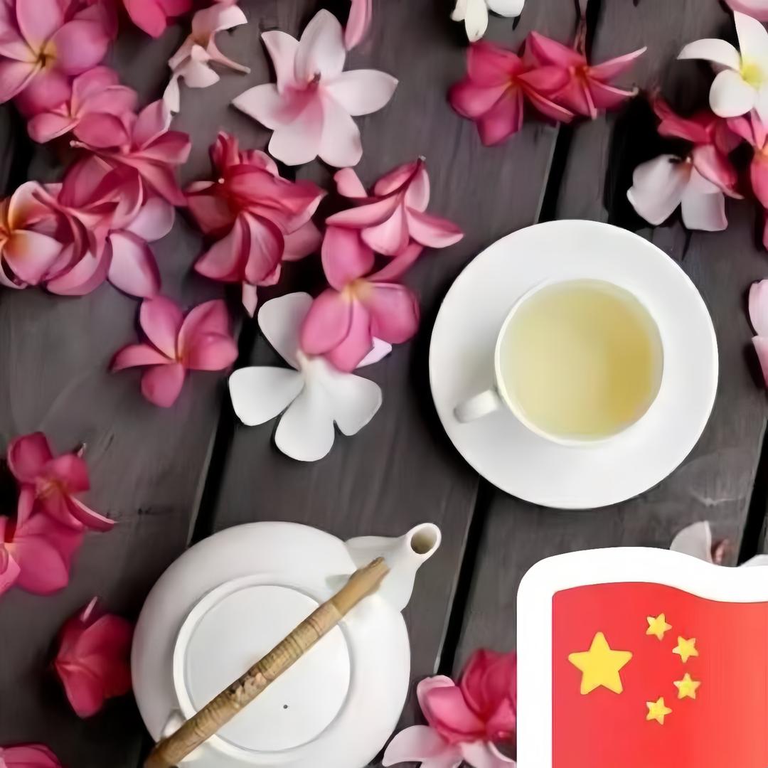 小宋 🌸爱养花🌸