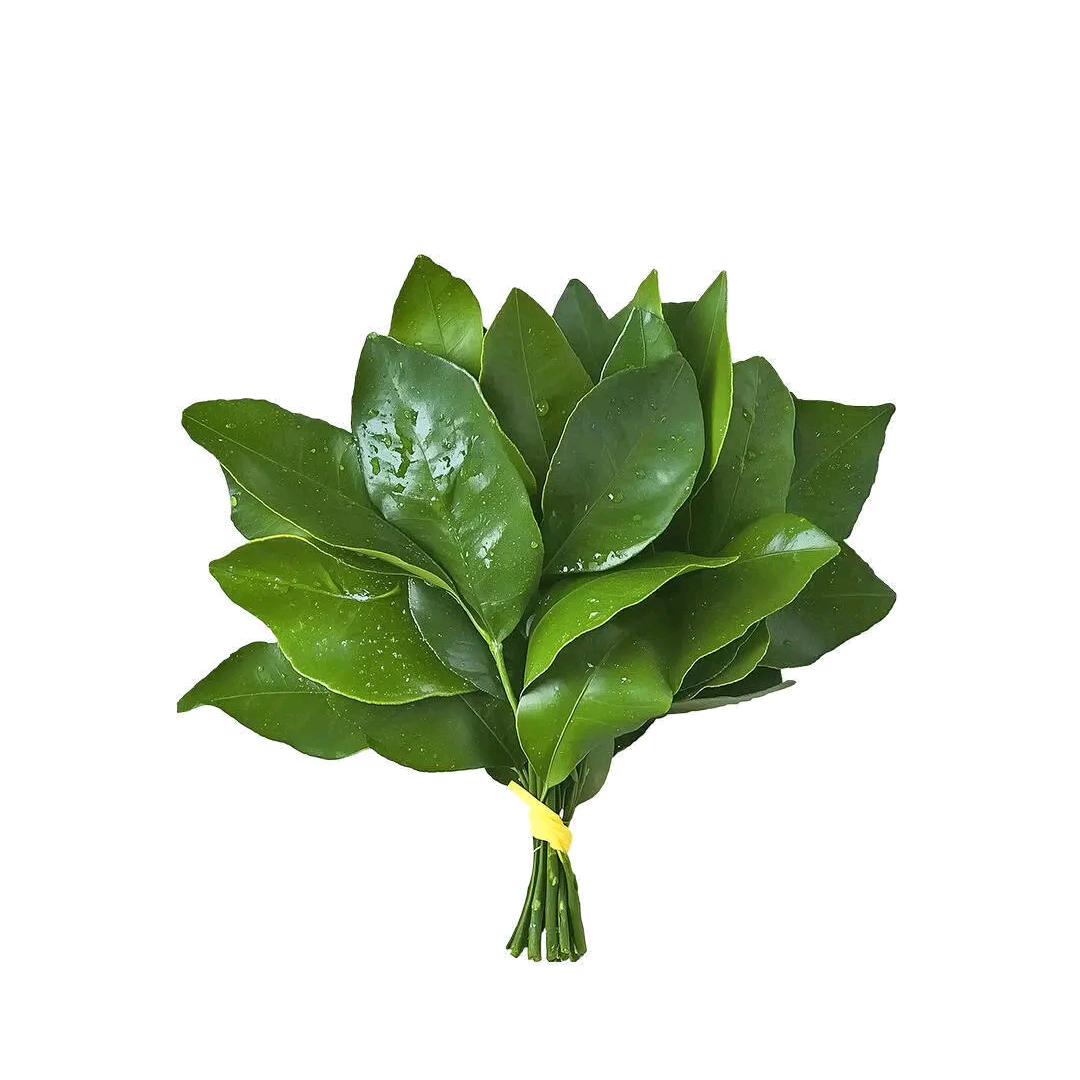 多喝点水