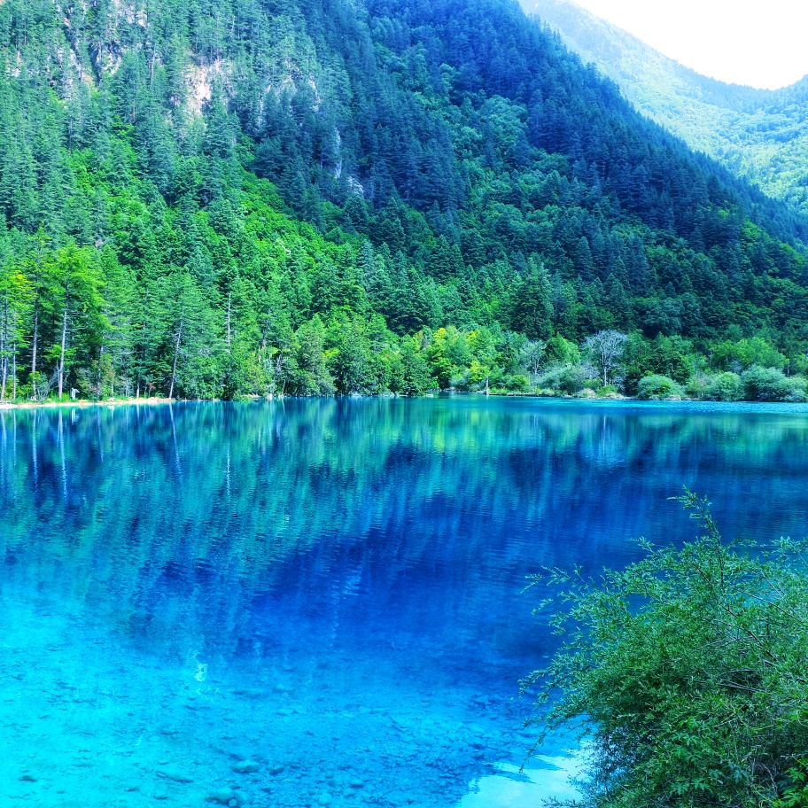 成公老师讲公考